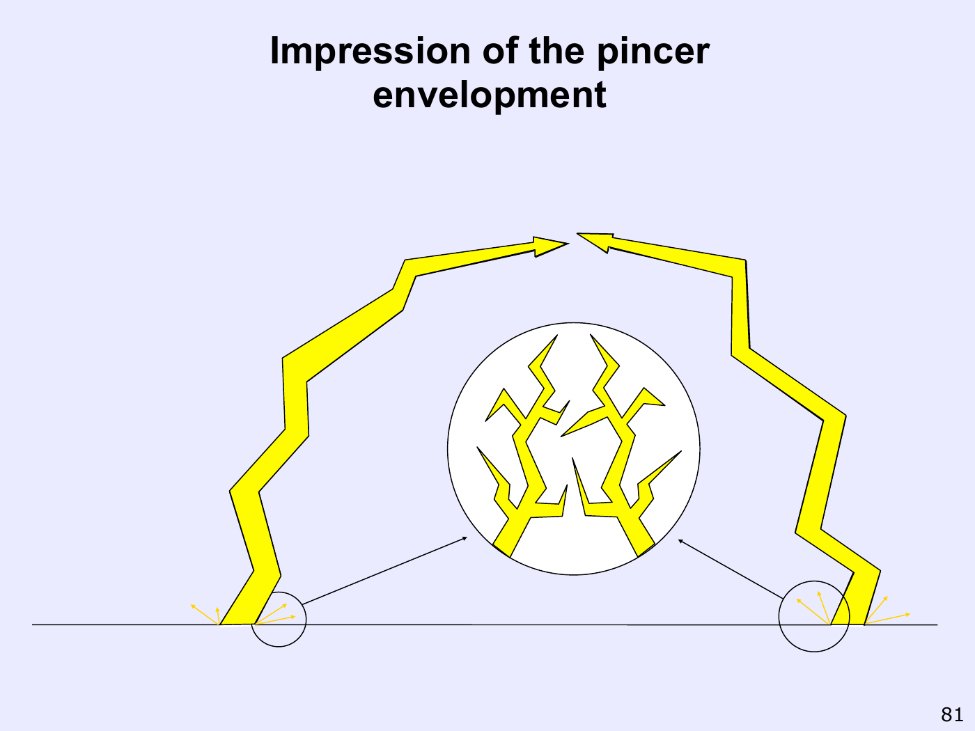 Revised pincer drawing with two simplified interior branching systems